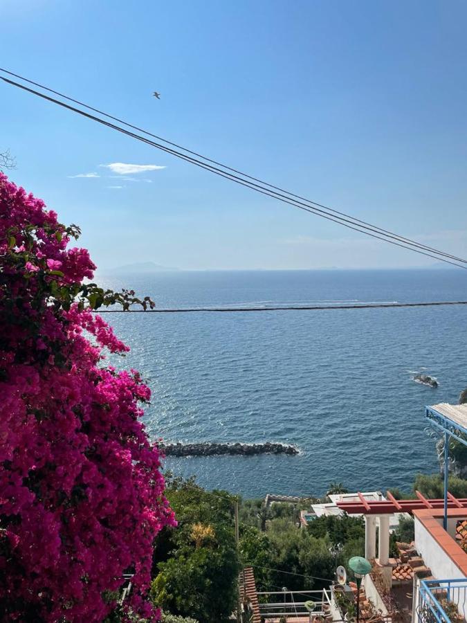 La Rosa Dei Venti Massa Lubrense Exterior foto