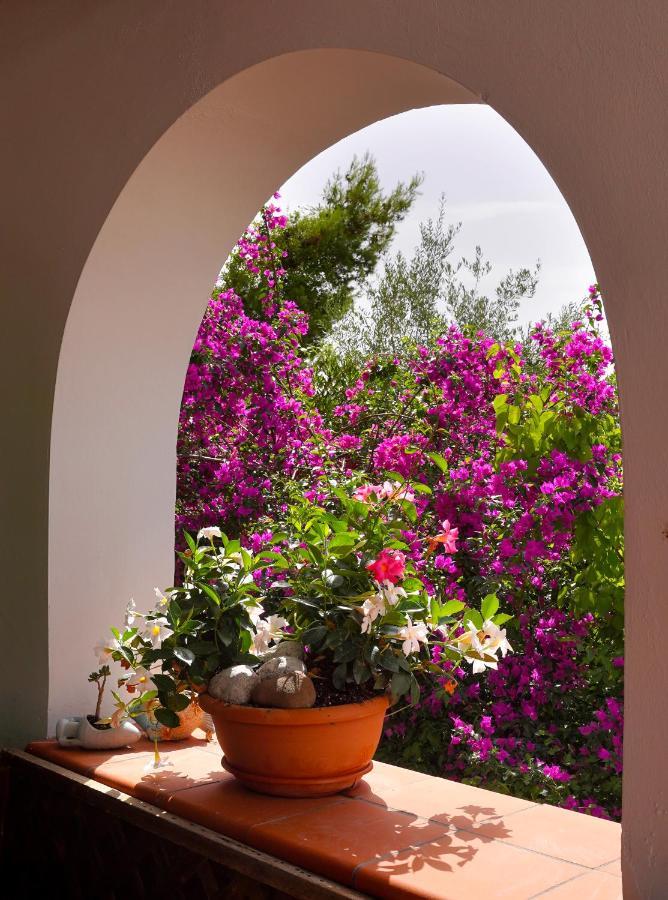 La Rosa Dei Venti Massa Lubrense Exterior foto